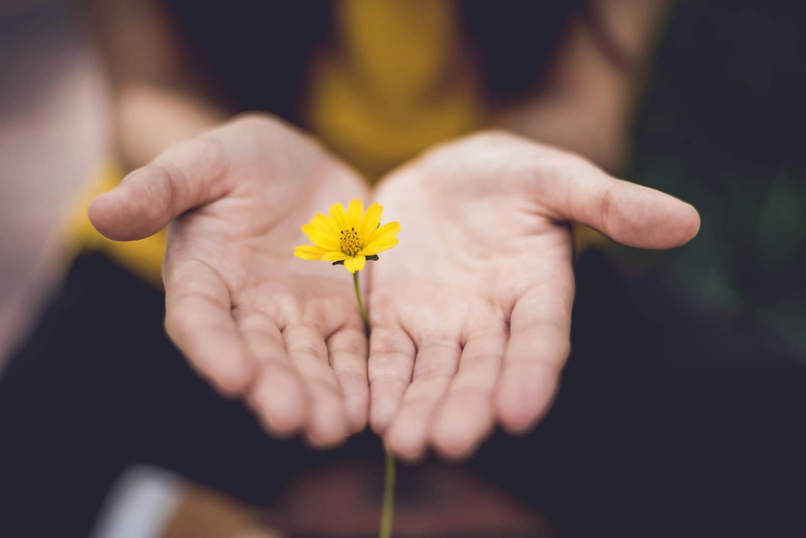 What is green burial?